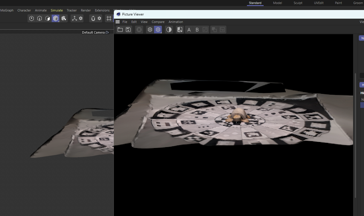 My turtle object was one of my best scanned objects. It was well rendered in scaniverse but it looks a bit blurry in C4D even with the render viewport. Also had to be cropped.